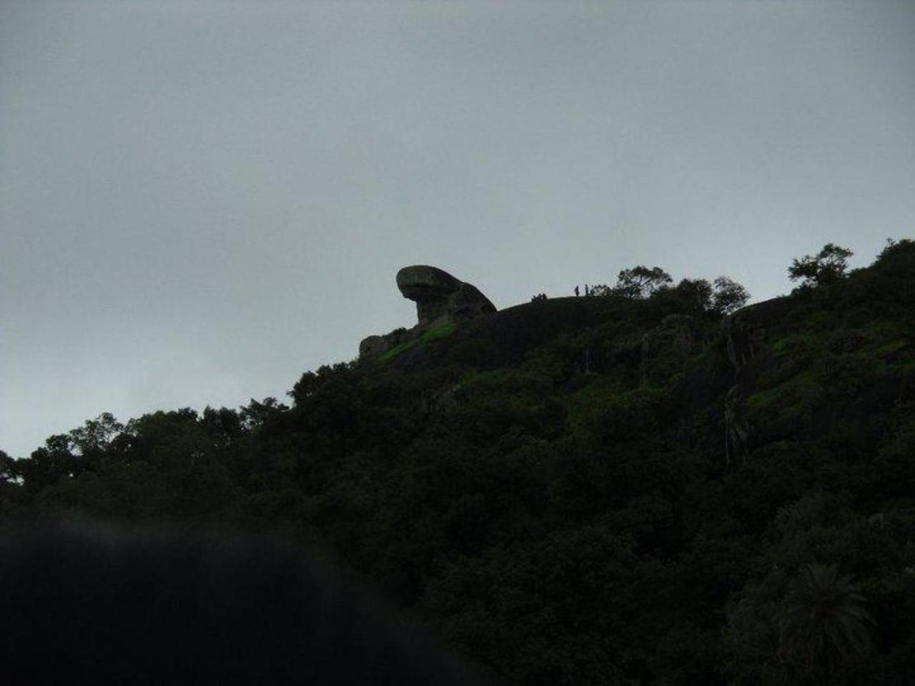The Leef Inn 500Ms From Nakki Lake Mount Abu Eksteriør bilde